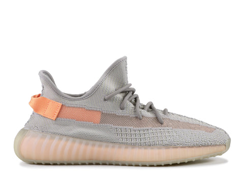 Adidas Yeezy Boost 350 V2 "TRUE FORM" EG7492