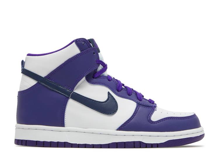 Nike Dunk High (GS) " Purple Midnight Navy" DH9751 100