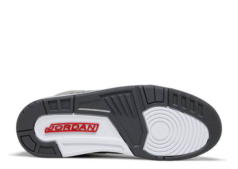 Air pair Jordan 3 Retro "COOL GREY 2021" CT8532 012