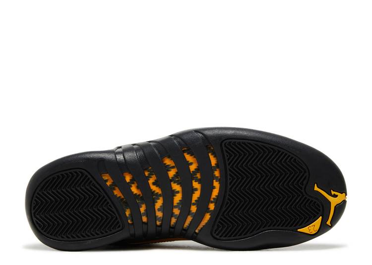 Air Jordan 12 Retro "BLACK TAXI" CT8013 071