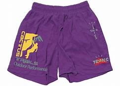 Travis Scott  "CLIMB" Shorts Purple